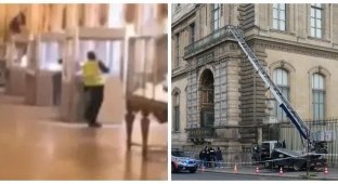 "Это настоящие коммандос": в сети появилось видео ограбления Лувра (6 фото + 2 видео)