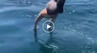 Мужчина решил поплавать рядом с акулой и чуть не пожалел об этом