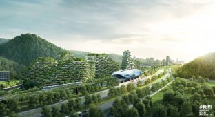 Китайцы строят первый в истории современный «лесной город», который будет состоять из 40 тыс. деревьев (7 фото)