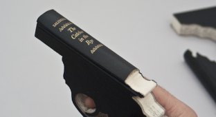 Оружие из книг (8 фотографий)