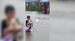 In Malaysia, a little boy, risking his life, saved cats from a flood