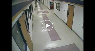 Олень в коридоре школы