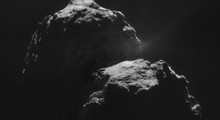 Зонд «Розетта» исследует комету Чурюмова-Герасименко (40 фото + видео)