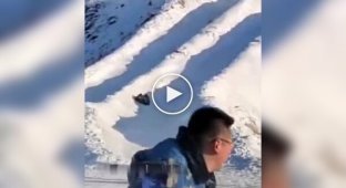 Weird Videos (Short Videos) Issue 37