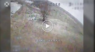 Border guards destroyed a car, hit four enemy positions and enemy manpower in the Kharkiv region