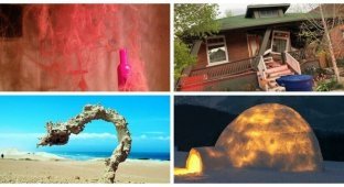 30 наглядных ответов на вопрос "Что будет, если...?" (31 фото)