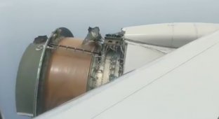 Пассажиры сняли разрушение двигателя самолета в воздухе (7 фото + 1 видео)