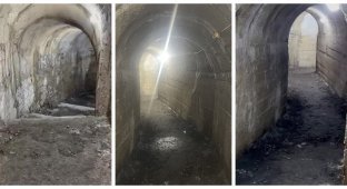 Британці знайшли у своєму саду підземний притулок часів Другої світової війни (21 фото + 1 відео)