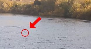 Маленьке кошеня перепливло крижану річку і знайшло свою турботливу господиню (4 фото + 1 відео)