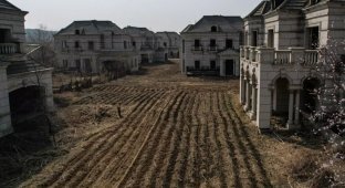 Китайский город-призрак с особняками, в которых теперь живут коровы (4 фото)