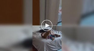 Рыжий кот устраивает бесплатные утренние концерты хозяевам