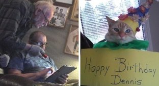 No one in the family will surprise and amuse you more than grandparents (16 photos)