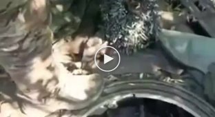 Footage of a captured T-90M near Rabotino. The tank looks pretty untouched and in good condition