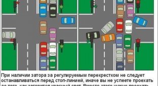 Правила дорожного движения с исправлениями для Москвы (14 фото)