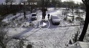 Напад зграї собак на жінку в Орську потрапив на відео