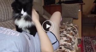 When a cat loves its owner more than its owner
