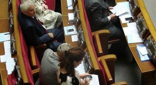 Шекспировские страсти в Украинском парламенте (13 фото)