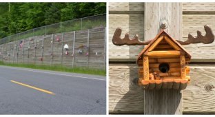 Birdhouse Road (5 photos + 1 video)