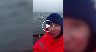 Женщина запечатлела белого медведя возле своей лодки