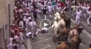 Thrill-seekers got under the hooves of bulls during the Spanish festival