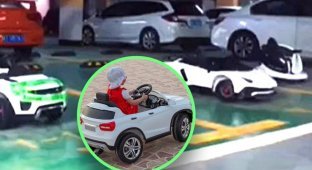 A man in China sued for the right to park his son's toy cars (3 photos)