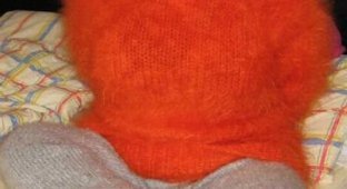  Французские фетишисты (20 фото)