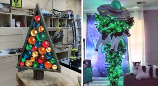 30 unusual Christmas trees for the most original (31 photos)