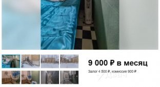 Квартира за 9 000 рублей в месяц, площадью 10 кв.м., сдается в Санкт-Петербурге (7 фото + видео)