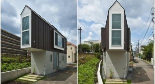 В Японии построили узкий дом, который внутри оказался немаленьким (15 фото)