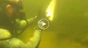 Дайвери пожартували з відпочиваючих