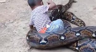 Маленький ребенок и огромная змея