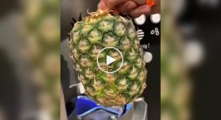 Pineapple cutting machine