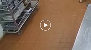 Teddy Bear came to visit and was outraged by the service