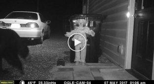 Man chases bear away from his dumpster with creepy clown doll