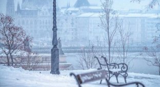 How beautiful Budapest is in winter (8 photos)
