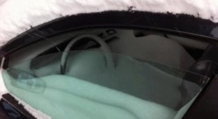 Почему надо вовремя освобождать свои автомобили из снежного плена (16 фото)