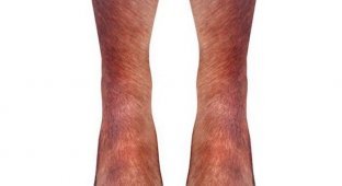 Эти реалистичные носки превратят ваши ноги в лапы животных (5 фото)
