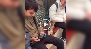 A cat tested a person for friendliness with its paw