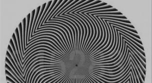 "Какое число вы видите?": пользователь Твиттера сломал голову подписчикам оптической иллюзией (6 фото)