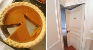 16 photos that make you feel terribly uncomfortable (17 photos)