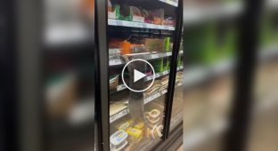 Кот полакомился колбасой в магазине