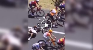 Велогонщик победил в заезде, врезавшись перед этим в кенгуру