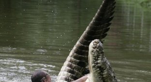 Битва человека с крокодилом (6 фотографий)