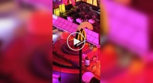 Польский Макдональдс украсили необычным образом