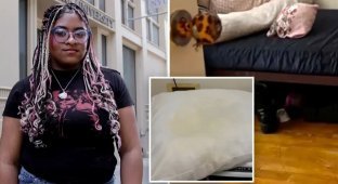 NYU Student Urinated on Roommate, But Victim Evicted from Dorm Room (5 photos + 1 video)