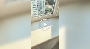 Результат работы мастеров в Одессе