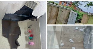 30 examples of bad luck with your neighbors (31 photos)