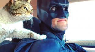 "Этому городу нужен герой": Бэтмен теперь спасает не людей, а животных (10 фото)