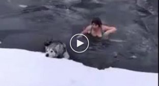Женщина спасла собаку из ледяной воды в Воронежской области