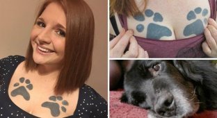 Британка сделала тату в память о псе прямо на своей груди (8 фото)